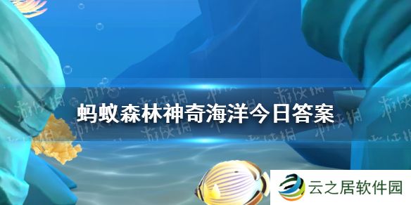 玻璃鱿鱼遇到捕食者时会怎么做   神奇海洋12月27日答案最新